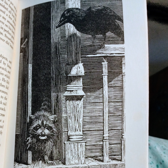 Vintage 1963 Book Rascal- Raccoon - Picture 3 of 3